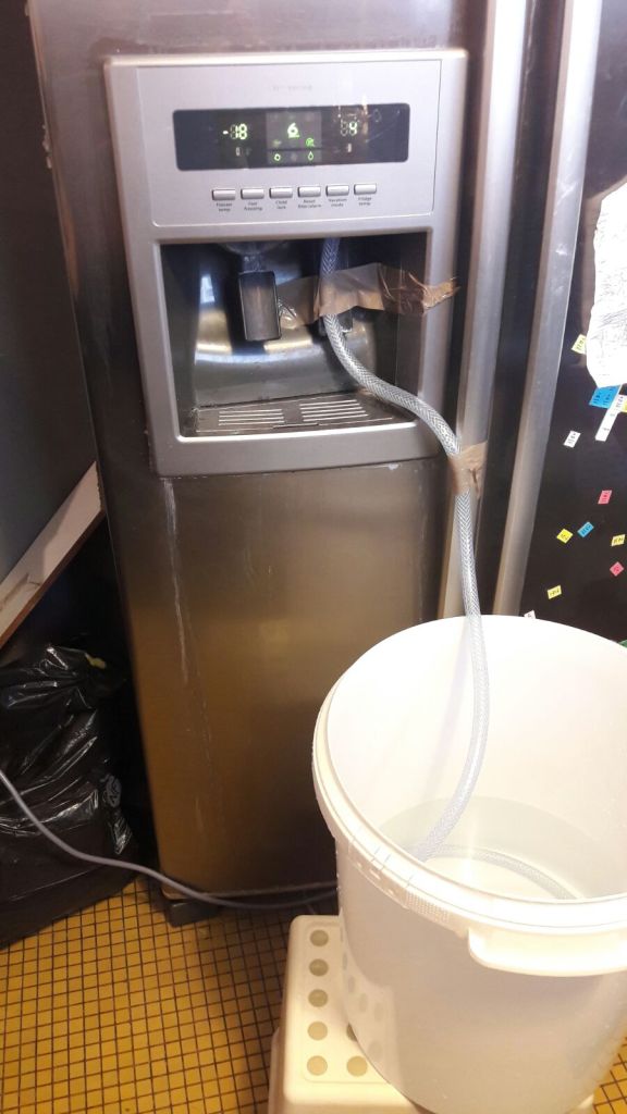 whatsapp-image-2017-02-16-at-09-59-04-1